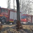 zdjęcie nr 26