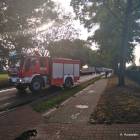 Fotka nr 1 z 17