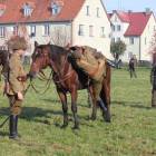 zdjęcie nr 41