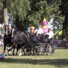 zdjęcie nr 52