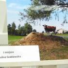 zdjęcie nr 15