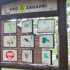 zdjęcie nr 35