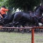 zdjęcie nr 97