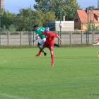 zdjęcie nr 22