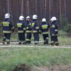 zdjęcie nr 84