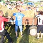 zdjęcie nr 201