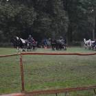 zdjęcie nr 18