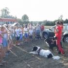 zdjęcie nr 15