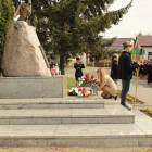 zdjęcie nr 33