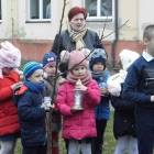 zdjęcie nr 15