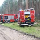 zdjęcie nr 69