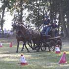 zdjęcie nr 88