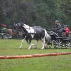 zdjęcie nr 19