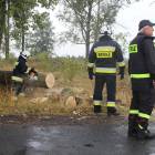 zdjęcie nr 27
