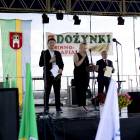 zdjęcie nr 40
