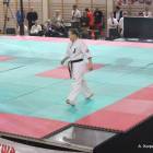 Fotka nr 1 z 83