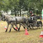 zdjęcie nr 73
