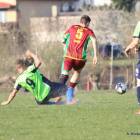 zdjęcie nr 12
