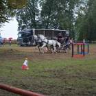 Fotka nr 2 z 23