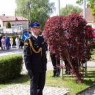 zdjęcie nr 14