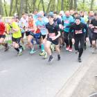 zdjęcie nr 30