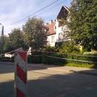 Fotka nr 5 z 8