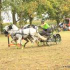 zdjęcie nr 84
