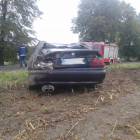zdjęcie nr 8