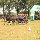 zdjęcie nr 45