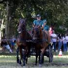 zdjęcie nr 37