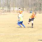 zdjęcie nr 17