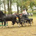 zdjęcie nr 78