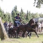 zdjęcie nr 86