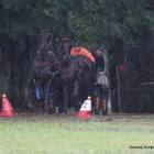 zdjęcie nr 90