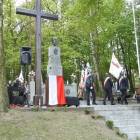 zdjęcie nr 22