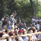 zdjęcie nr 97