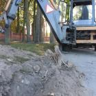 zdjęcie nr 14