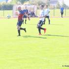 Fotka nr 1 z 43