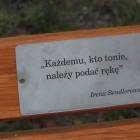zdjęcie nr 24