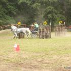 Fotka nr 1 z 104