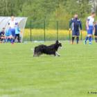 zdjęcie nr 18