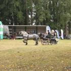 zdjęcie nr 64