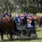 zdjęcie nr 21