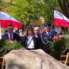 zdjęcie nr 11