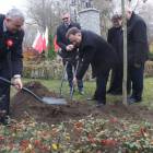 zdjęcie nr 126