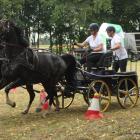 zdjęcie nr 76
