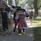 zdjęcie nr 8