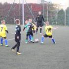 zdjęcie nr 13