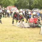 Fotka nr 4 z 46