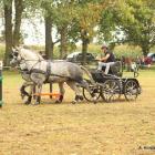 zdjęcie nr 69